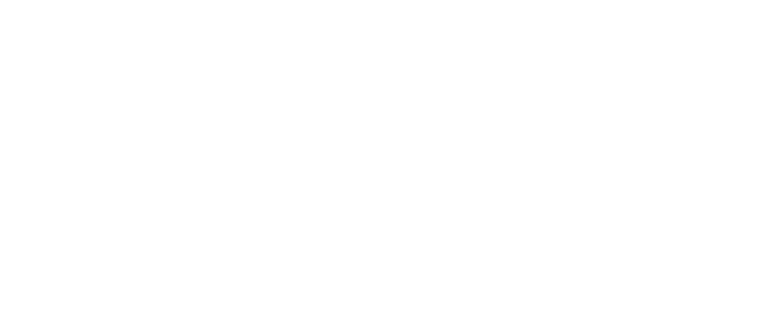 LPS Records